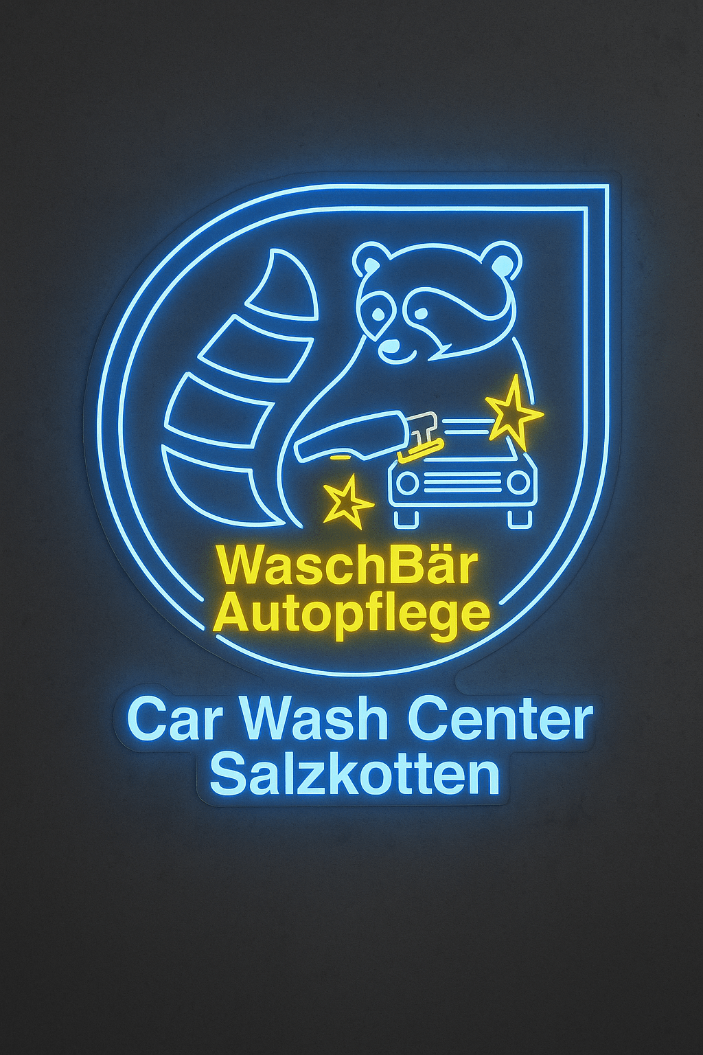 Individuelles Neon Logo - Signio Technology Enterprise